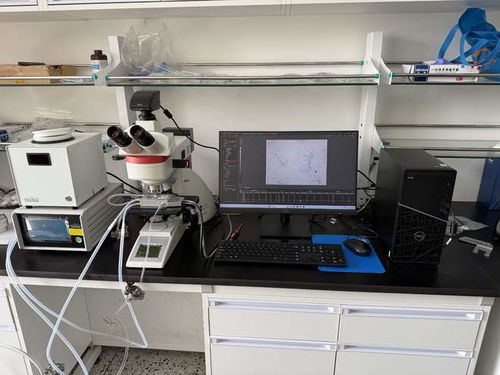探索材料高温奥秘 最适合搭配徕卡显微镜的1500℃高温热台品牌推荐